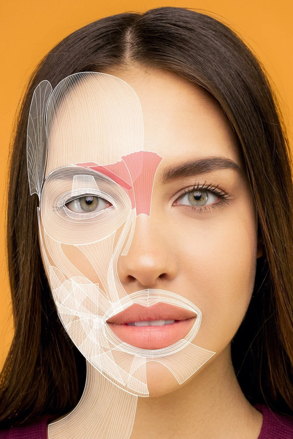 FACIAL ACTION CODING SYSTEM 微表情学 FACIAL ACTION CODING SYSTEM 微表情学（D3DFACS Dataset